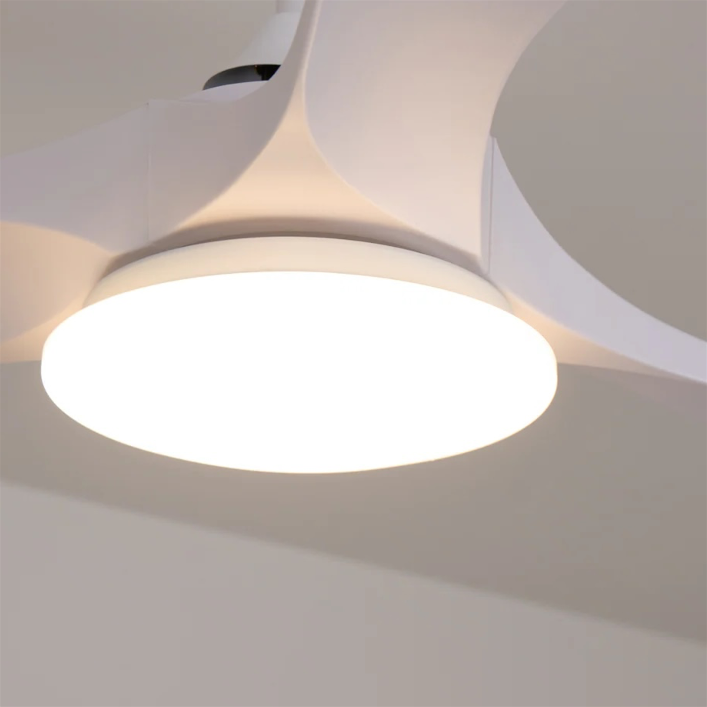 Maverick Ceiling Fan with Light, Remote Control, DC Motor, 36"/42"/52"/60"