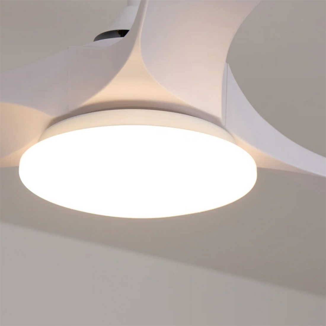 Maverick Ceiling Fan with Light, Remote Control, DC Motor, 36"/42"/52"/60"