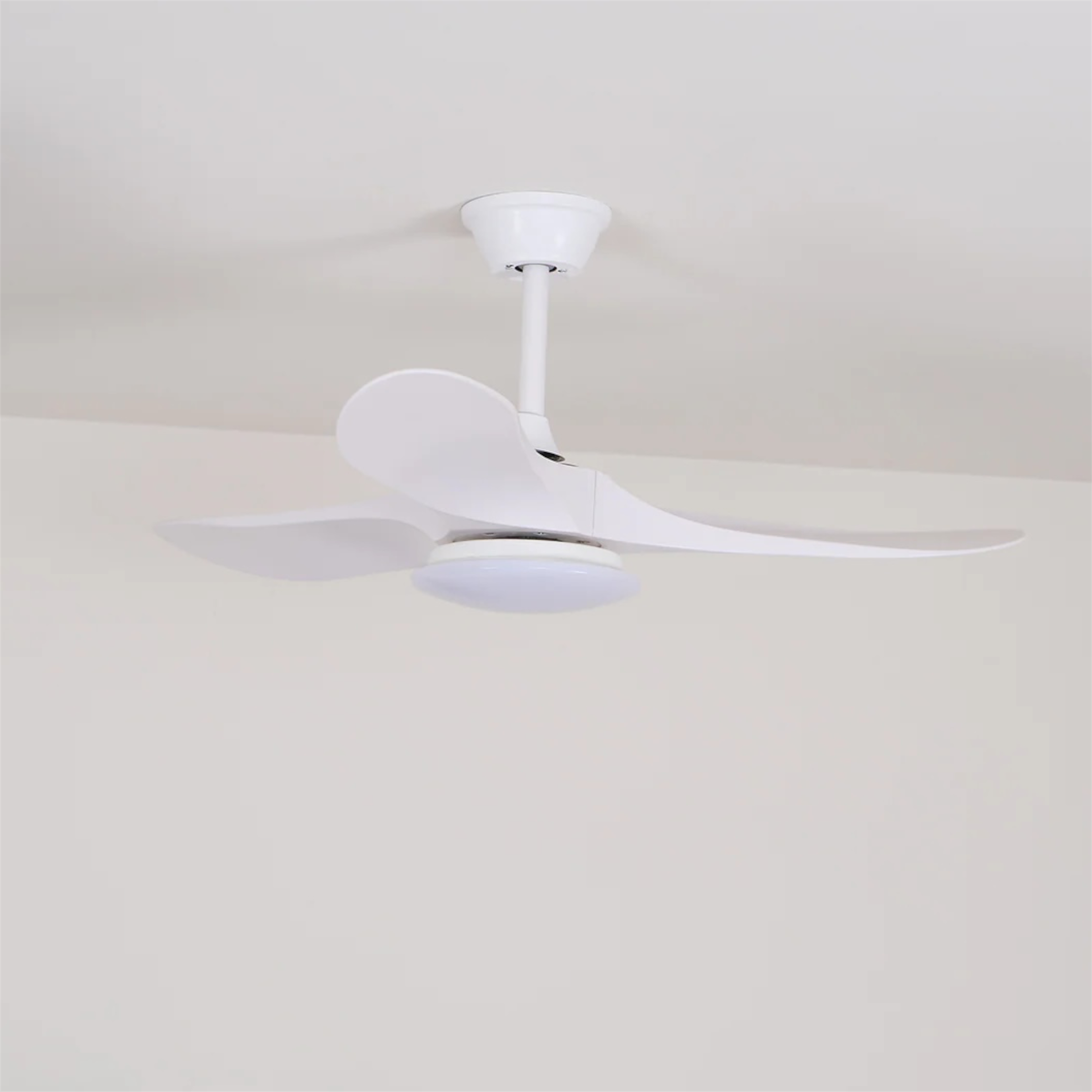 Maverick Ceiling Fan with Light, Remote Control, DC Motor, 36"/42"/52"/60"